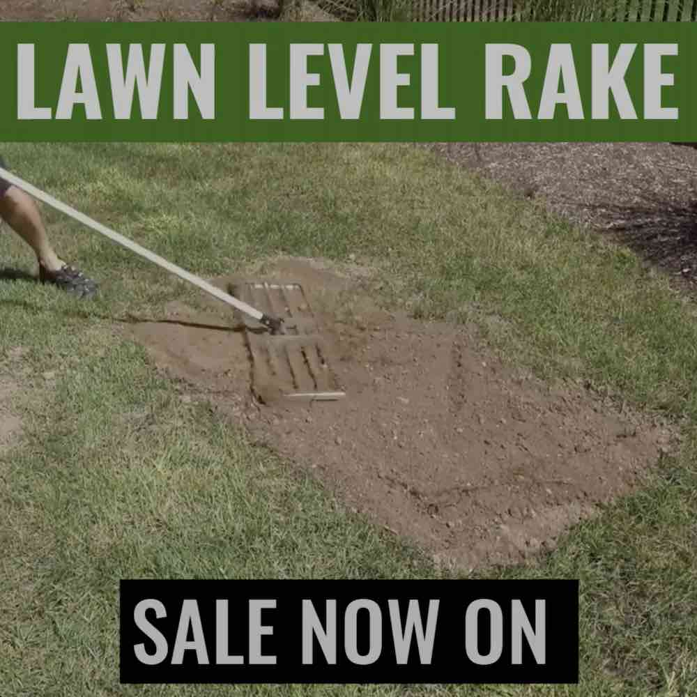 Lawn Lute: 75cm Yard Spreader: image 9