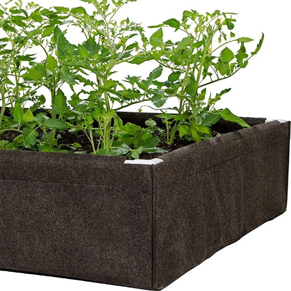 Raised Garden Bed: image 2