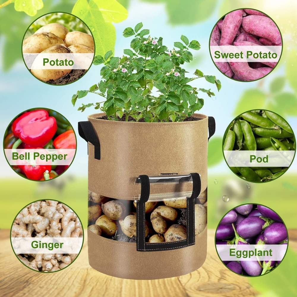 Potato Grow Bag: image 8