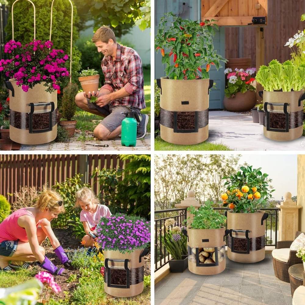 Potato Grow Bag: image 5