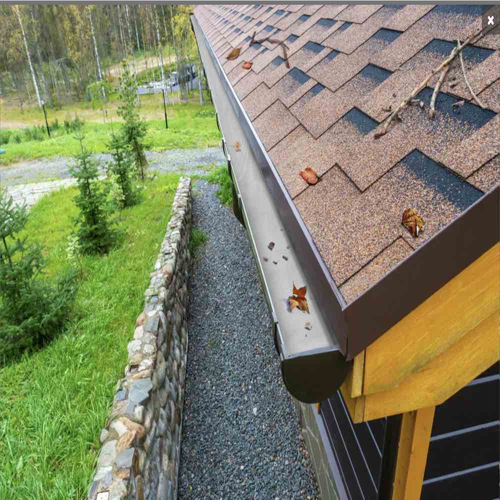 Gutter Cover Leaf Protection: image 1