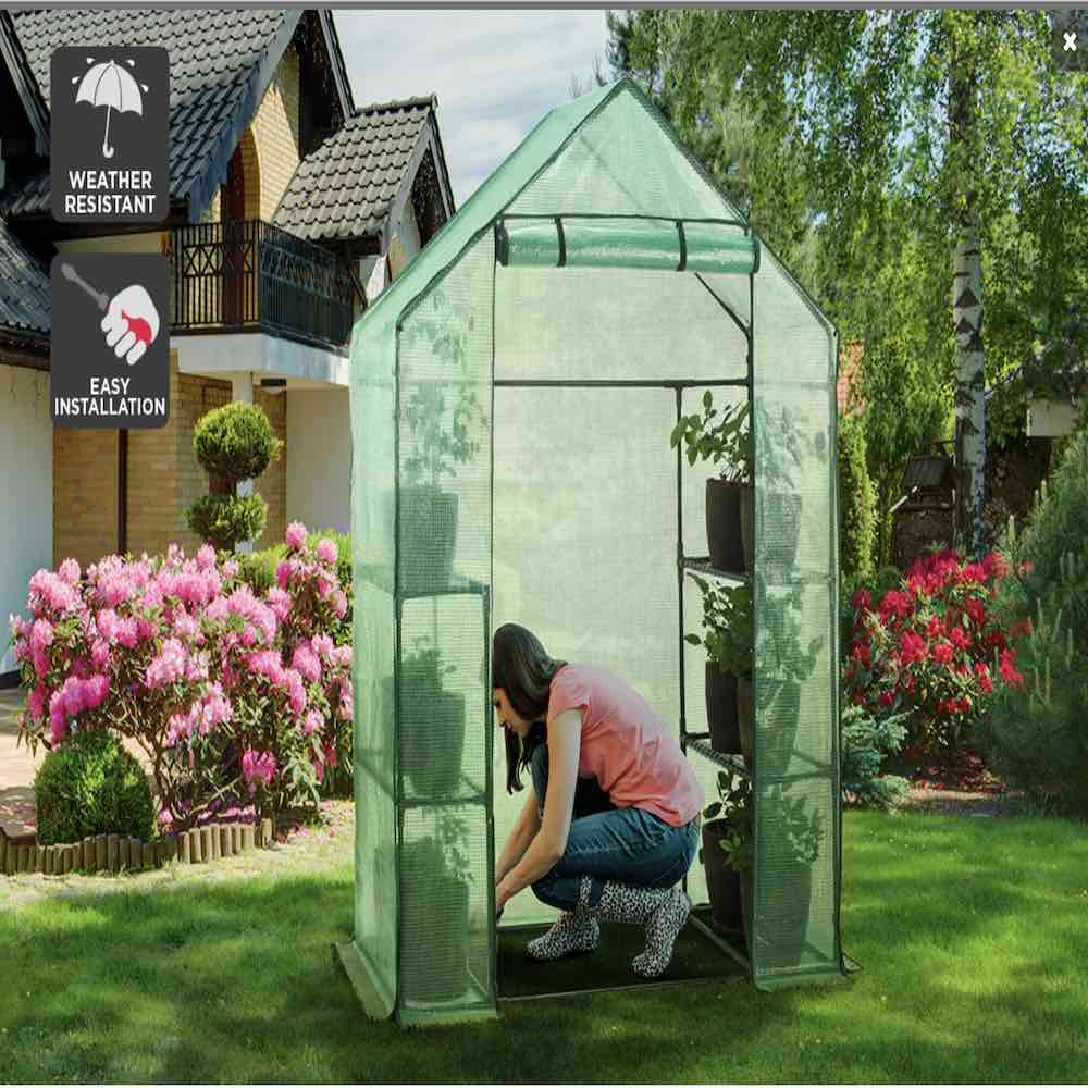 Portable Greenhouse For Outdoors: image 5