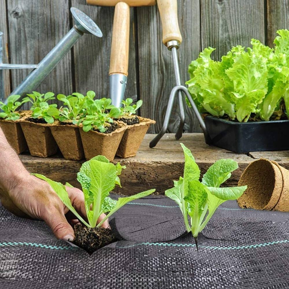 Weed Control Mat