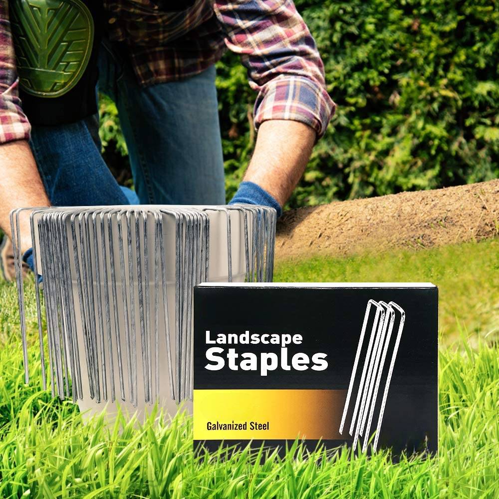 Ground Staples: image 9