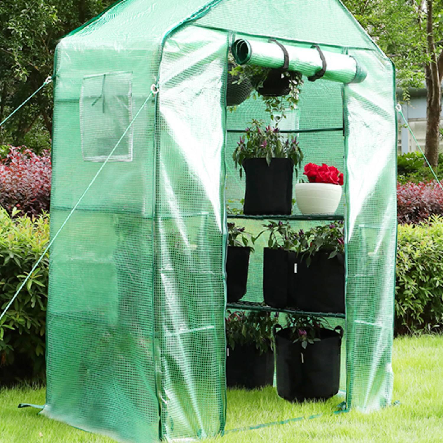 Portable Greenhouse For Outdoors: image 6